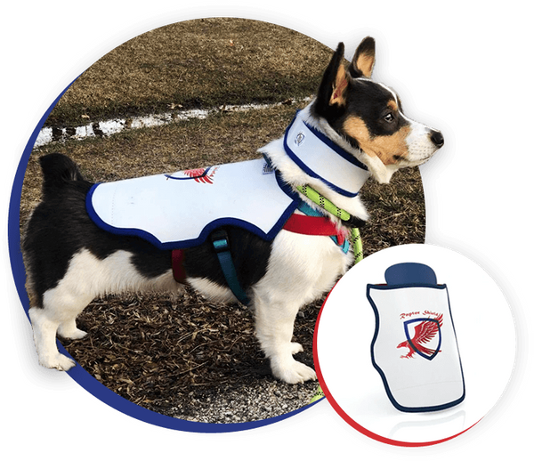 Raptor Shield Inc. Protective Vests For Your Dogs